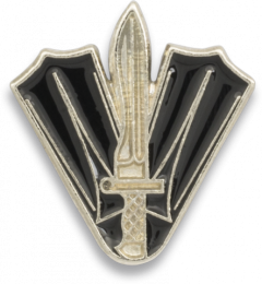 Distintivo Buceador De Combate Martinez Albainox 09746