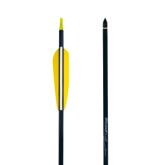 Flechas de Carbono Multicapa Zasdar, para Arco Recurvo y de Poleas con Punta Rosca 79 cm, ligeras, ZAS-11812