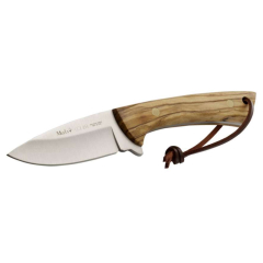 Cuchillo de caza Muela Colibrí COL-9.OL, enterizo, cachas de madera de olivo, tamaño total 21 cm + tarjeta multiusos de regalo