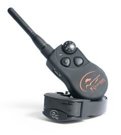 SportDog SD-825 Collar de Adiestramiento, para perros, rango 700 metros,se pueden controlar hasta 3 perros a la vez