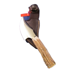 Cuchillo de caza Muela Sabueso SABUESO-11A, puño de asta de ciervo, hoja MOVA de 11 cm, mango de 11 cm + tarjeta multiusos de regalo