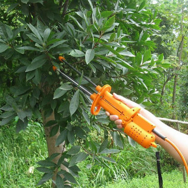 La recogida de aceitunas con varas vibradoras eléctricas ahorran un 70% los costes de mano de obra