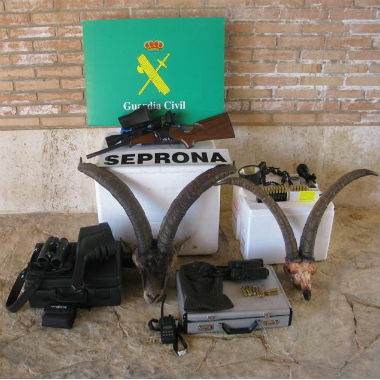 La caza furtiva es una actividad que pone en peligro las especies protegidas