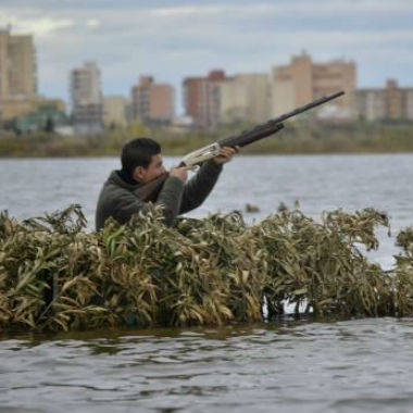 Calendario para la caza menor en la Comunidad Valenciana