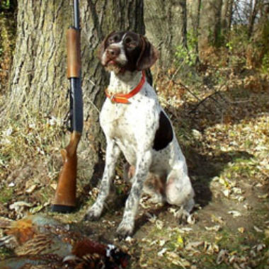 La final del Campeonato de España de Caza Menor con Perro se celebrará en el Coto de Castillejo de Robledo
