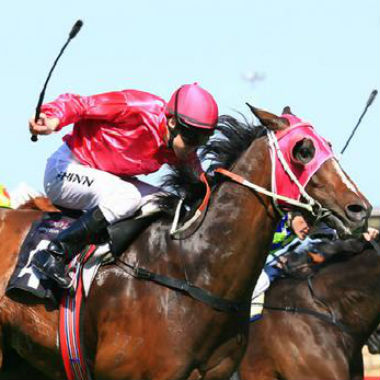 La fusta se utiliza para transmitir órdenes a los caballos