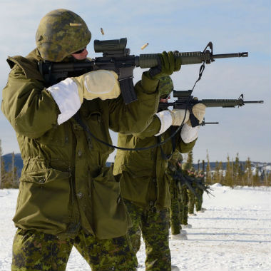 La puntería es la destreza del tirador para dar en el blanco, encajar o derribar el objetivo