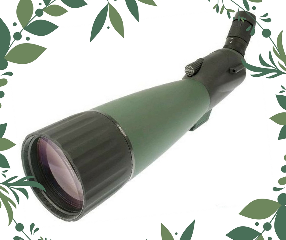 Consejos para fotografiar animales y paisajes