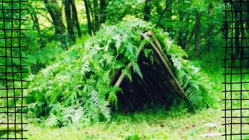 ¿Cómo construir un refugio para la lluvia sin recursos?