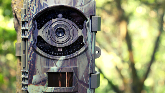 ¿Cuáles son las mejores cámaras de caza?