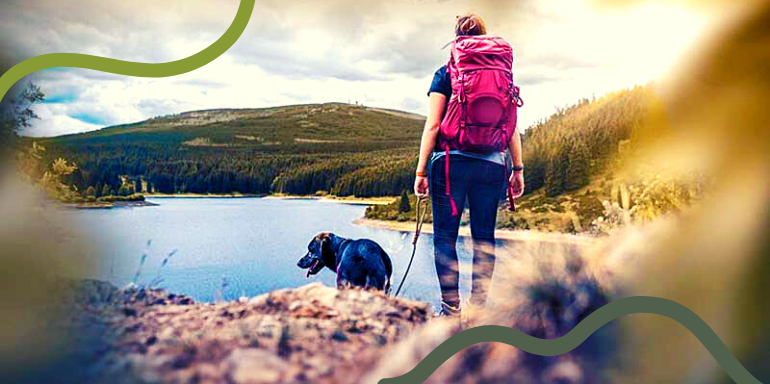 Senderismo con perros: ¡todo lo que necesitas saber!