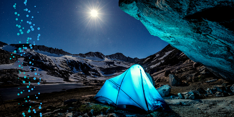 Curiosidades sobre los campamentos salvajes