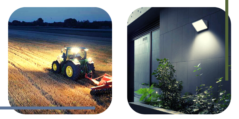 Cómo elegir el mejor foco LED 