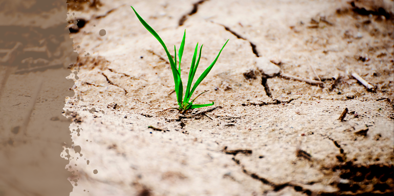 El instinto de supervivencia: Qué es y por qué lo necesitas 