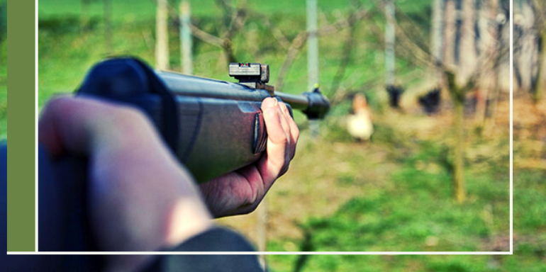 Plinking: Qué es y cómo se practica 