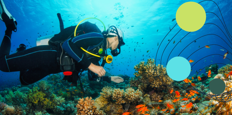 Descubre el submarinismo y los equipamientos para la práctica