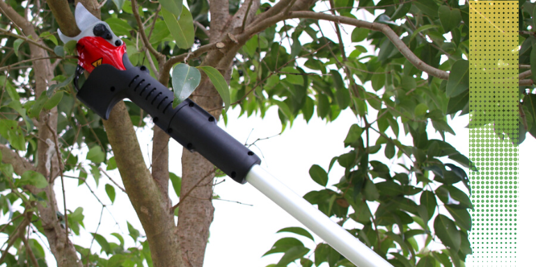 Tijeras eléctricas de podar telescópicas: cortes rápidos, sencillos y limpios 