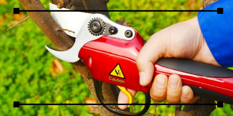 Consejos valiosos para quienes buscan comprar tijeras de podar