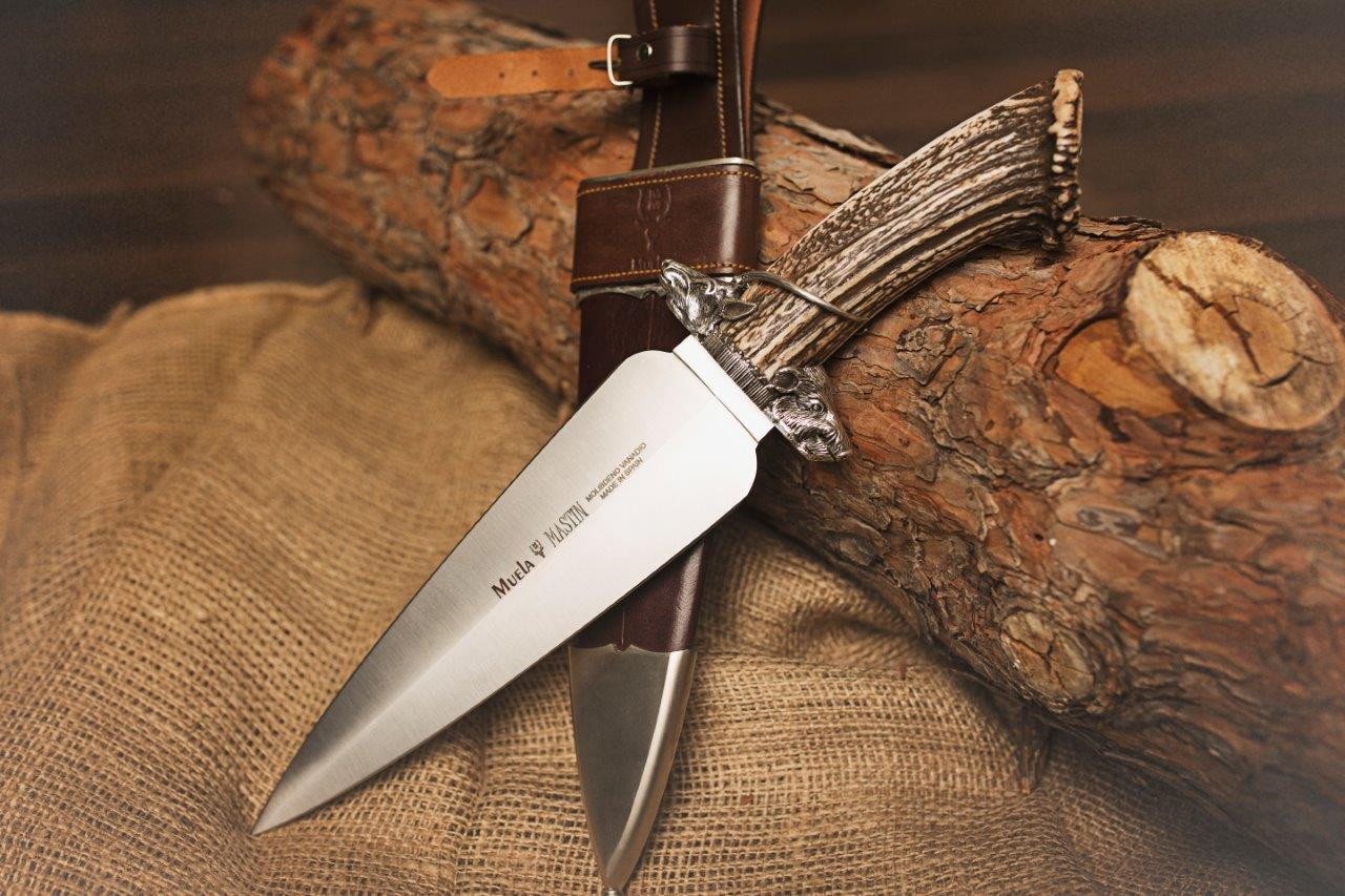 Leilão Muela faca Mastin MASTIN, chapa de aço inoxidável MOVA de 24,5 cm, braçadeira, com moeda chifre de veado, guarda e prata esterlina + cartão presente de múltiplos propósitos