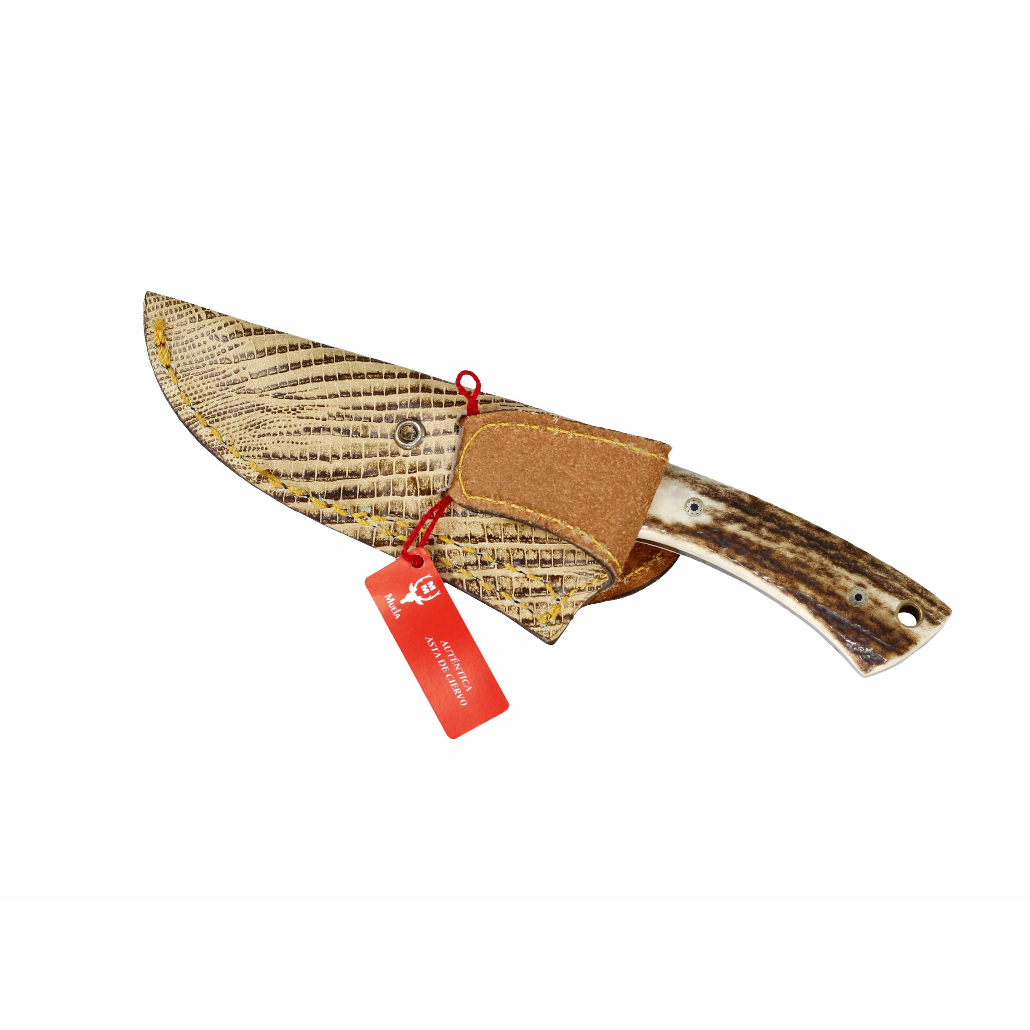 Deluxe faca Muela beija-flor-COL-7DAM de Damasco, folha de 7 punho, aço inoxidável e latão chifre Damasco cm + cartão de presente de múltiplos propósitos de aço